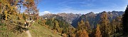 31 Splendenti colori autunnali alla 'Baitelli' (1748 m)